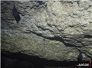 Jaskinia Kryształowa - nietoperze